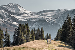 Ein Landschaftsbild von der Wispile im Herbst. Das Wildhorn im Hintergrund ist schneebedeckt. Ganz klein sind in der Bildmitte Mountainbiker erkennbar.