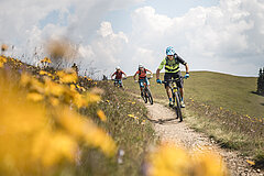 Drei Personen auf ihren Mountainbikes, welche den Rellerli Trail befahren. Links im Bild befinden sich Gelbe Blumen.