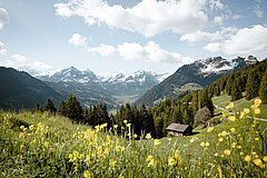 Aussicht auf das Panorama vom Eggli im Frühling