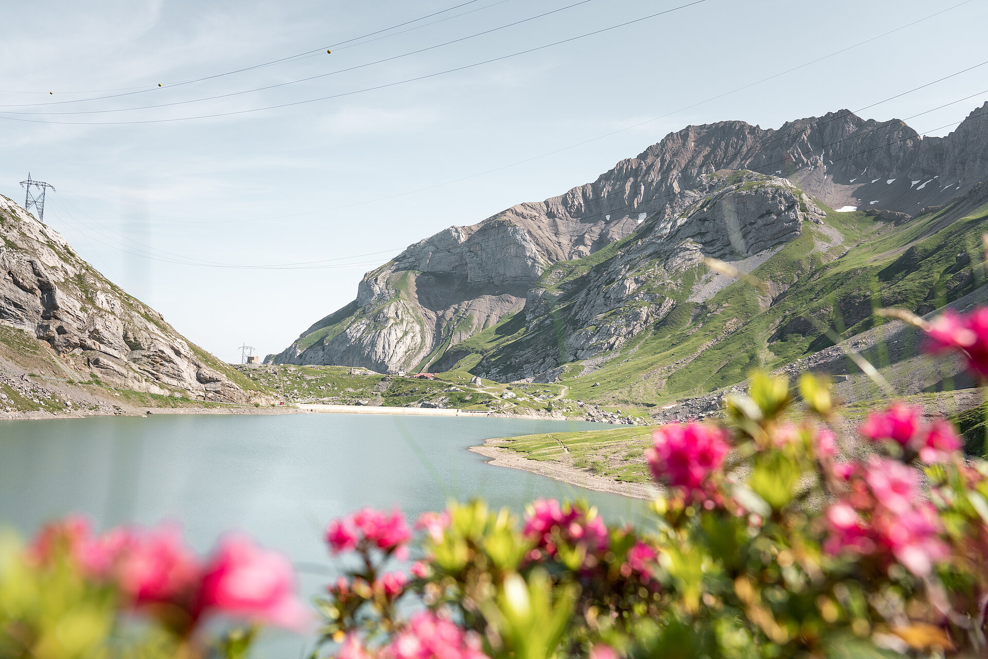 Blauer Sanetschstausee mit blühenden Blumen und einem Rundwanderweg um den See.&nbsp;