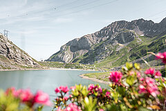 Blauer Sanetschstausee mit blühenden Blumen und einem Rundwanderweg um den See.&nbsp;