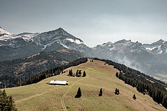 Wanderweg auf der Wispile durch grüne Wiesen und satte Tannen. Mit Aussicht auf eine herrliche Bergwelt. 