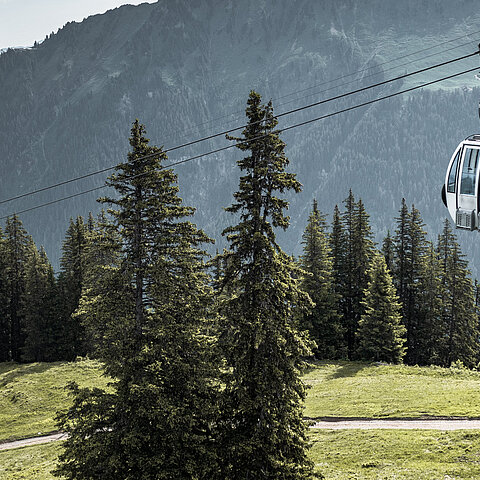 Eine Gondelbahnkabine fährt durch einen Wald und überquert einen Fahrweg, im Hintergrund Berge.