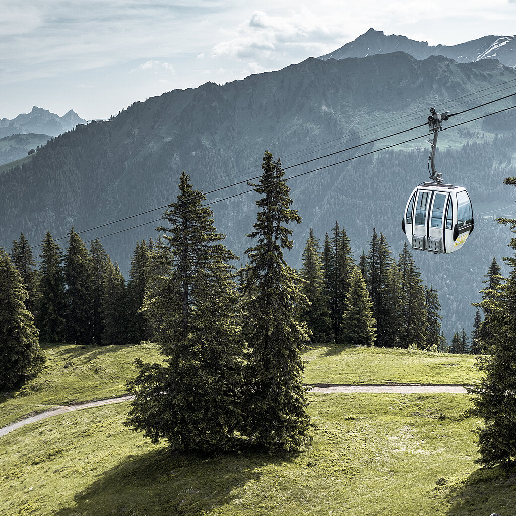 Eine Gondelbahnkabine fährt durch einen Wald und überquert einen Fahrweg, im Hintergrund Berge.