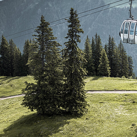 Eine Gondelbahnkabine fährt durch einen Wald und überquert einen Fahrweg, im Hintergrund Berge.
