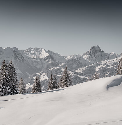 Eine verschneite Berglandschaft mit Bäumen.