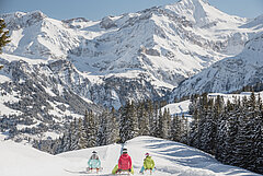 Drei Schlittelfahrer fahren eine grosse und perfekt präparierte Schlittelpiste von der Wispile Richtung Tal, mit Blick auf die Berge.