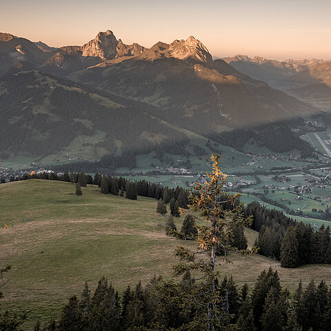 Sicht vom Hornberg auf das herbstliche und im Abendrot liegende Saanenland.